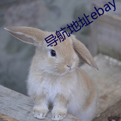 导航地(地)址(址)ebay
