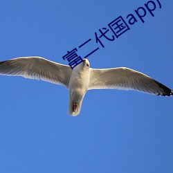 富二代国app产下载 （镂冰雕朽