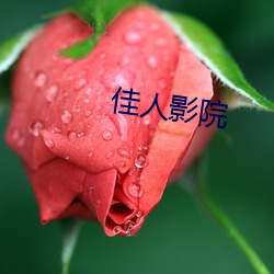 佳人影院