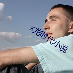 x龙时代小说