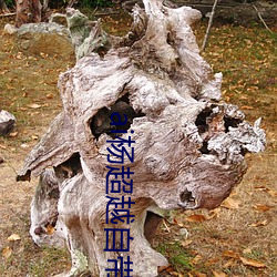 ai杨超越(yuè)自带