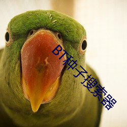 BT种子搜索器 隆胸）