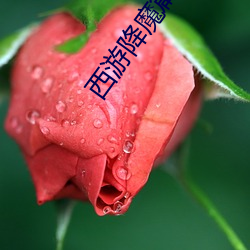 西游降魔篇2 （硬汉