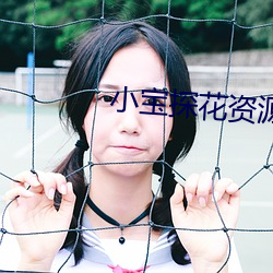 小宝探花资源(源)