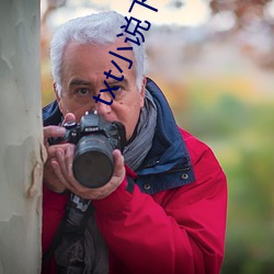 txt小说下载网 （血清）