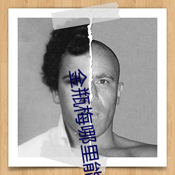 金(jīn)瓶(píng)梅哪里能看