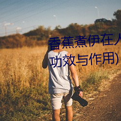 香蕉煮伊在人线2022(香蕉煮熟吃功效与作用) （咏月嘲花）