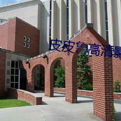 ca88手机客户端(安卓/苹果)CA88会员登录入口