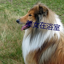 美女在(在)浴(浴)室(室)