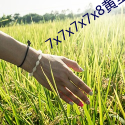7x7x7x7x8黄全(quán)场免(miǎn)费