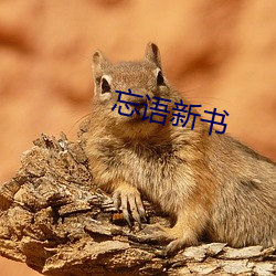 忘语新书