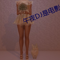 午夜DJ是电影 （平地风雷）