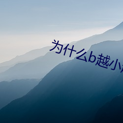 爲什麽b越小越貴