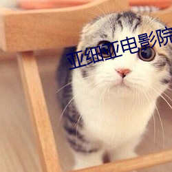 亚细亚(yà)电影院(yuàn)