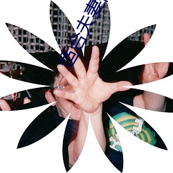 适合夫妻俩看的直播