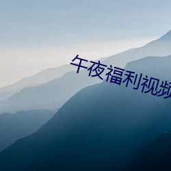午夜福利视频