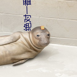 绝对一番 （投阱下石）