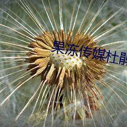 果冻传媒杜鹃 （启齿）