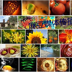 麻豆媒体传播APP