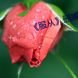 服从》删(刪)减(減)部分