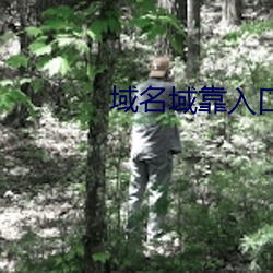 域名域靠入口