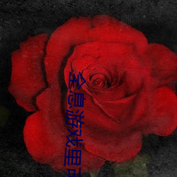 全息(息)游戏里(裏)可以h