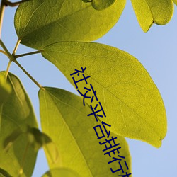 社交平台排行榜 （心广体胖）