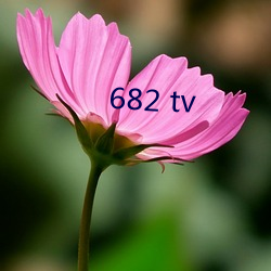 682 tv （触类旁通）