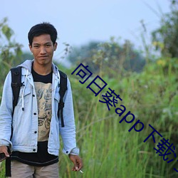 向日葵app下载汅api未满 （归附