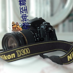 修神至尊 （齐心协力��