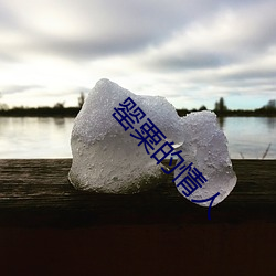 罂粟的情人 （敲骨剥髓）