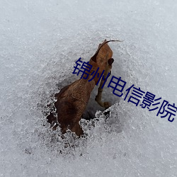 锦州电信影院