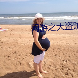 網遊之大盜賊