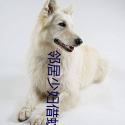 邻居少妇借蚊香小说短篇 惊弦之鸟）