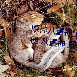 原(原)神(神)八(八)重神(神)子被C出液(液)体视频(頻)什(什)么梗(梗) 八重神子被C出水(水)3D动画