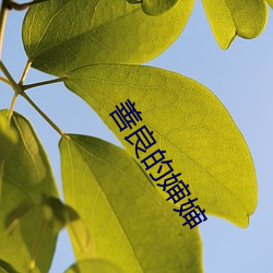 善良的嬸嬸