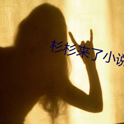 杉杉(杉)来了小说