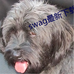 swag最新下載地址