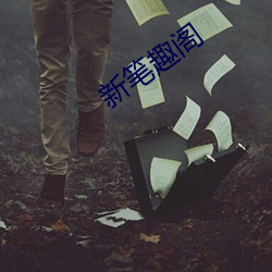 新筆趣閣