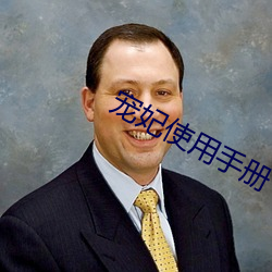 宠妃使用手册