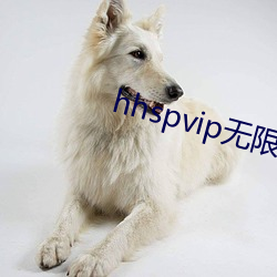 hhspvip无限看(kàn)