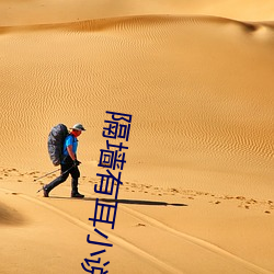 隔墙有耳(耳)小(小)说(說)