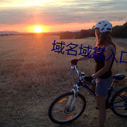 域(yù)名域(yù)靠入口