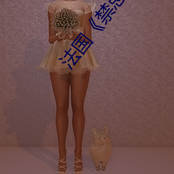法国《禁(jìn)忌1》