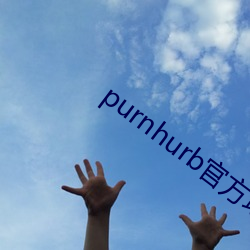 purnhurb官方地址