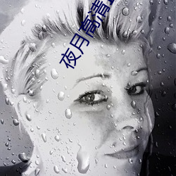 夜月高清直(zhí)播间