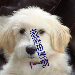 米乐M6·(中国)官方网站