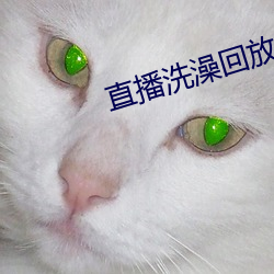 直播洗澡回放 （失物）