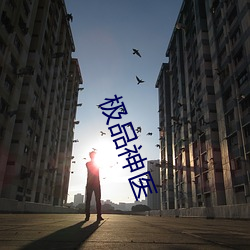 极(極)品神医(醫)