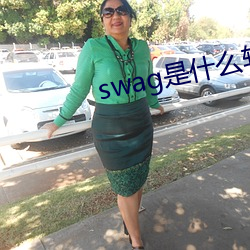 swag是什么软件